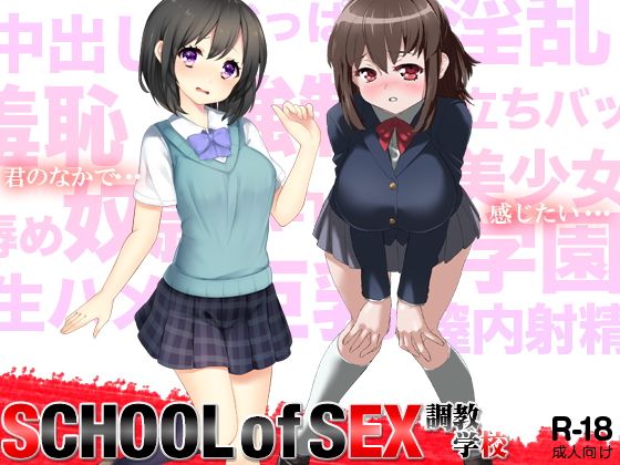 【SCHOOL of SEX 〜調教学校〜】ふぁるす