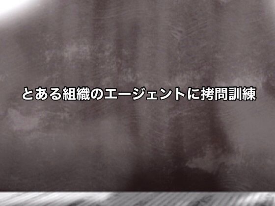 【とある組織のエージェントに拷問訓練】@さう